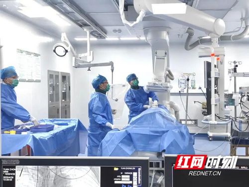 汝城縣人民醫(yī)院獲評心血管疾病防治技術牽頭單位，引領區(qū)域健康服務新篇章